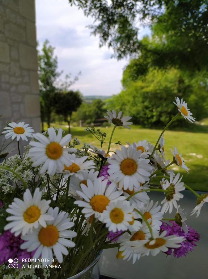 Gite La Roche Le Boulvé Εξωτερικό φωτογραφία
